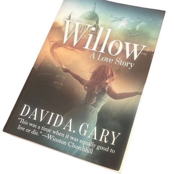 Willow : A Love Story by David Gary (2020,‎ Trade Paperback) - Picture 1 of 4